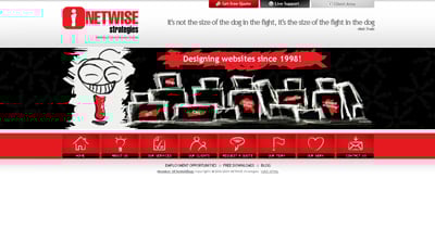 NETWiSE Strategies Website Screenshot