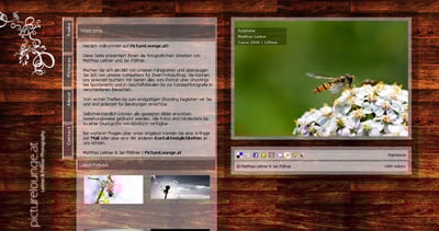 picturelounge.at Website Screenshot