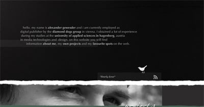 Alexander Gewessler Website Screenshot