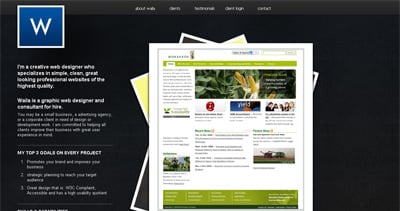 Waila Skinner Website Screenshot