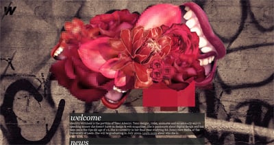 Identity Withheld Website Screenshot