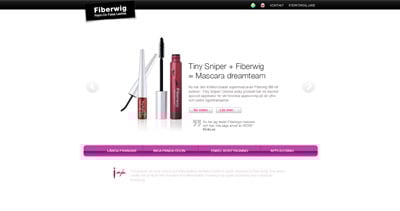 Imju Fiberwig Website Screenshot