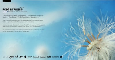 Points N’ Pixels Website Screenshot