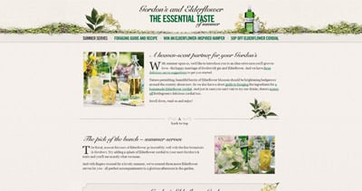 The Essential Taste of Summer Website Screenshot