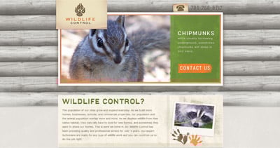 North Georgia Wildlife Control Website Screenshot
