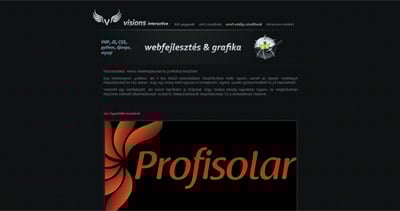 Visions Website Screenshot