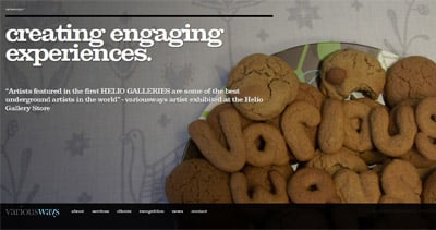 variousways Website Screenshot