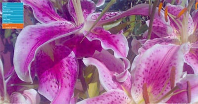 M.Bulgrin Website Screenshot