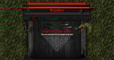 SagaPixel Website Screenshot