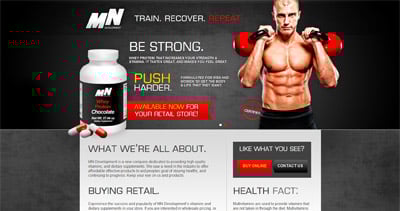 MN Development Website Screenshot