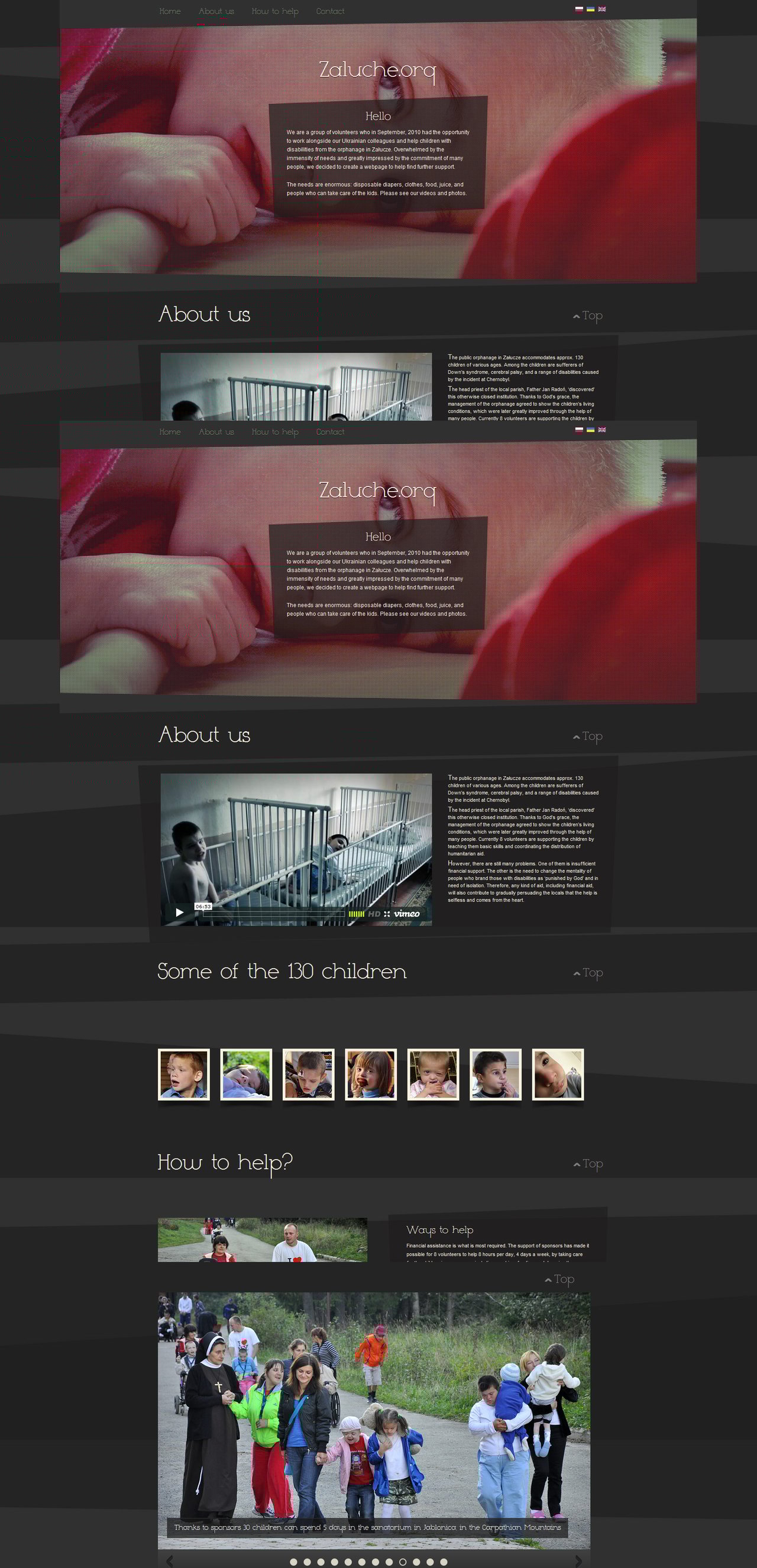 Zaluche Website Screenshot