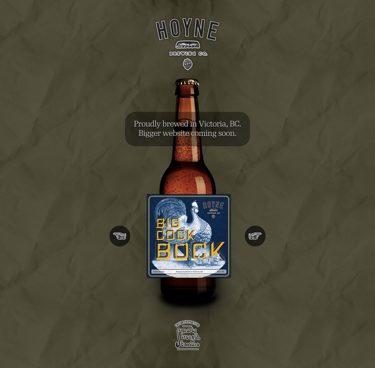 Hoyne Brewing Co. Website Screenshot