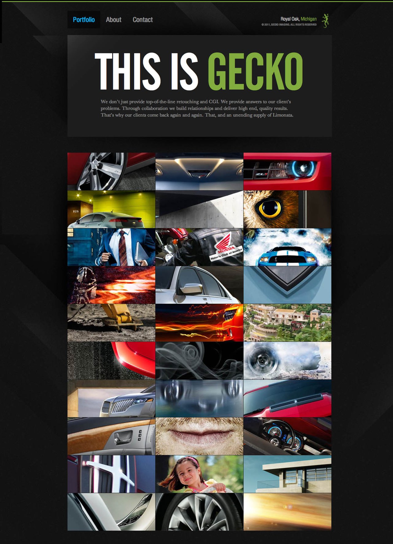 Gecko Imaging Website Screenshot