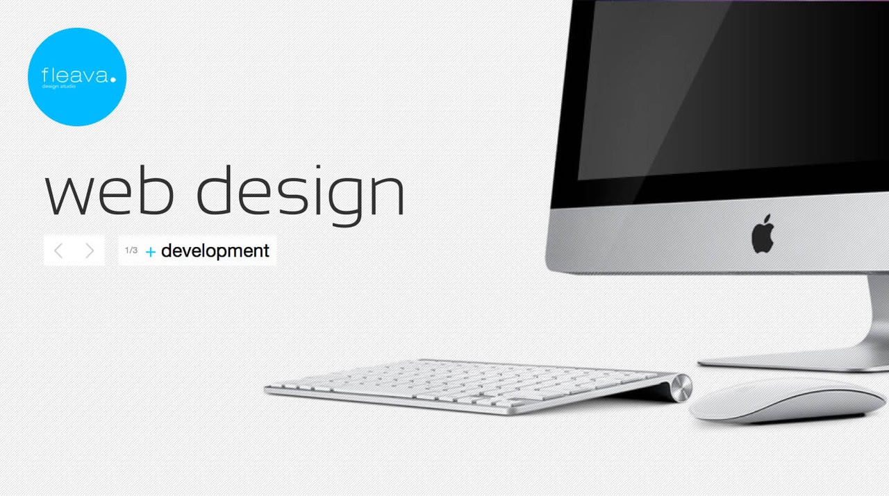 fleava Website Screenshot