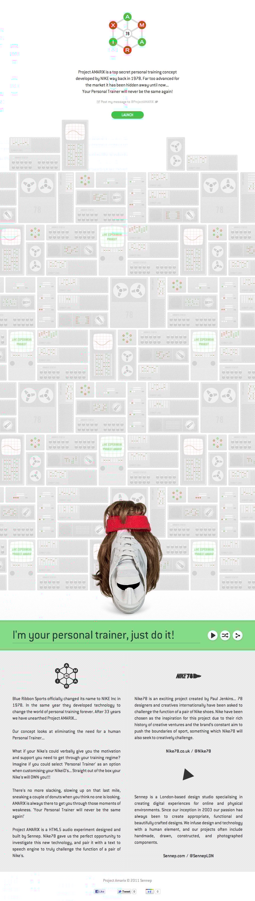 Project AMARIX Website Screenshot