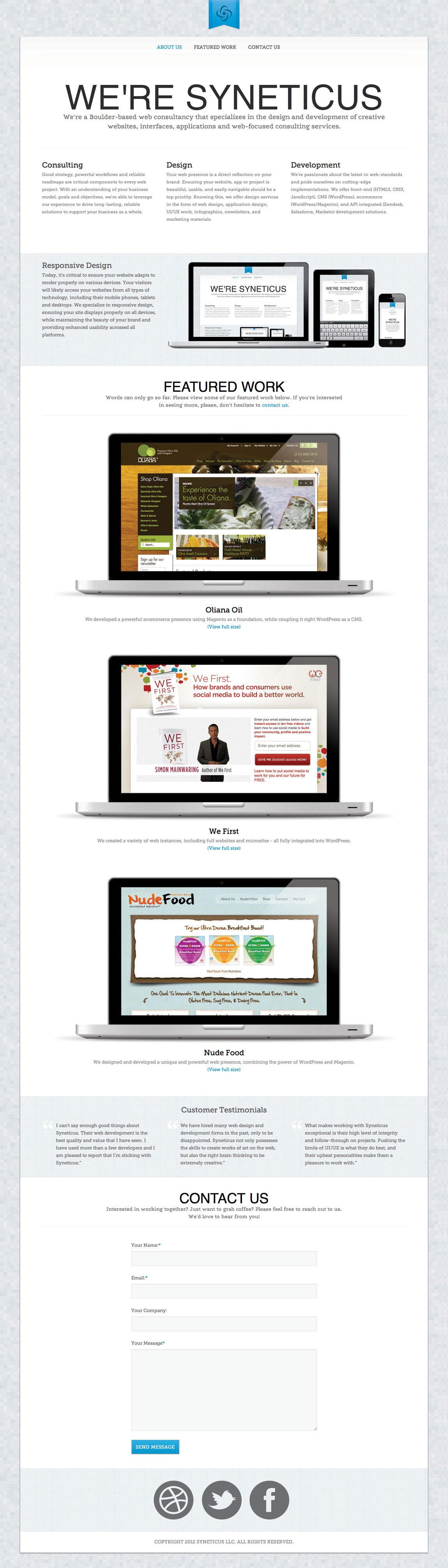 Syneticus Website Screenshot