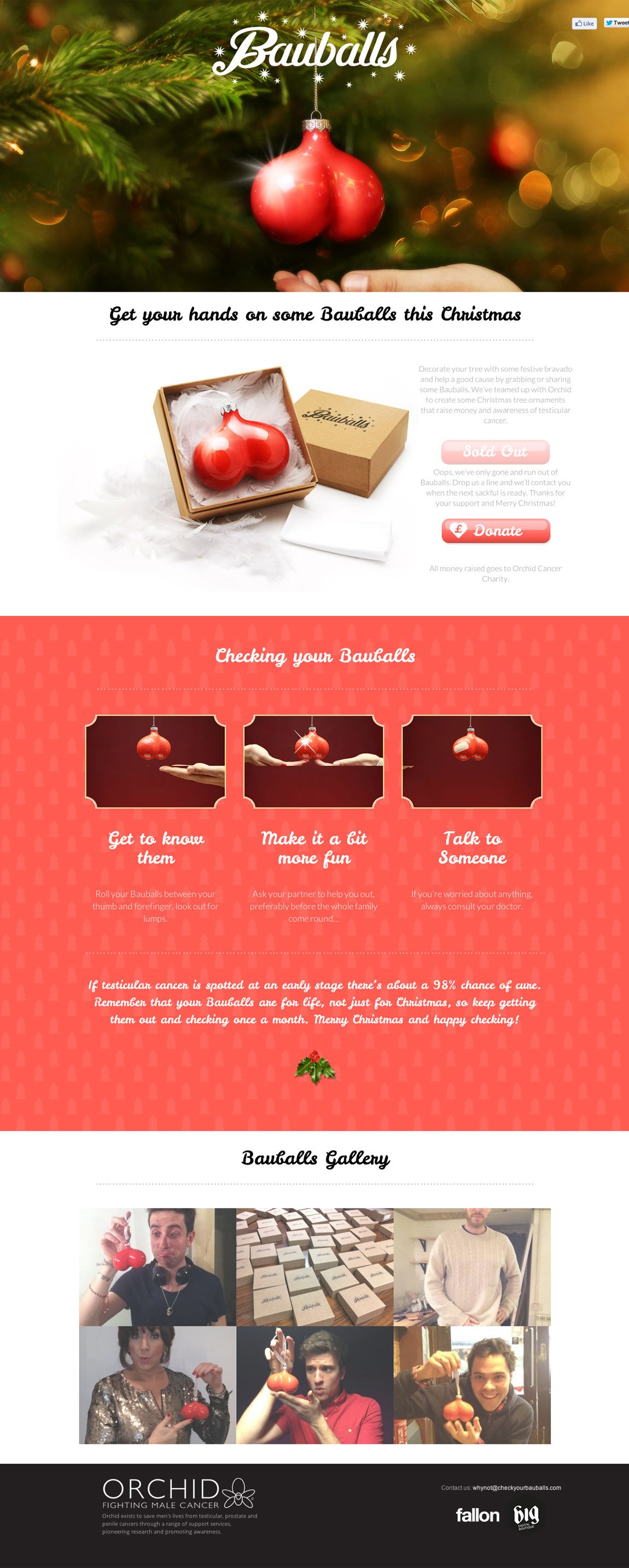 Check Your Bauballs Website Screenshot