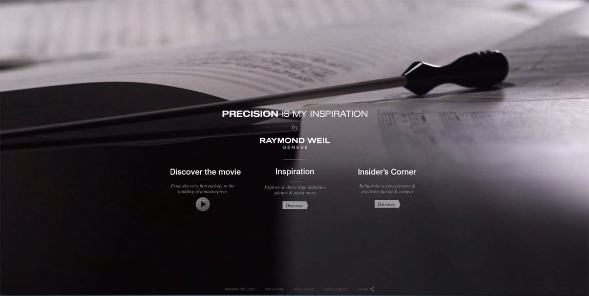 Precision is my Inspiration Website Screenshot