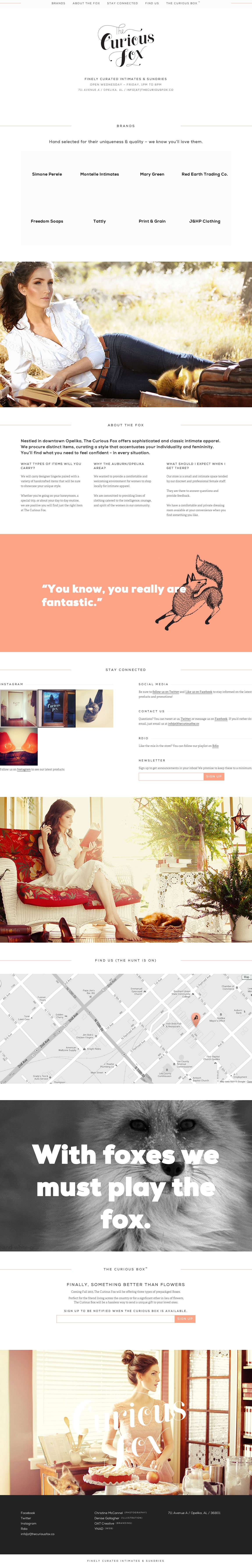 The Curious Fox Website Screenshot