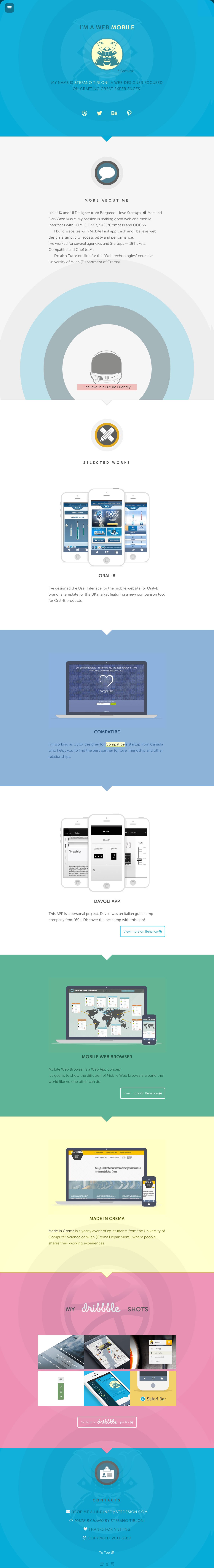 Stedesign Website Screenshot