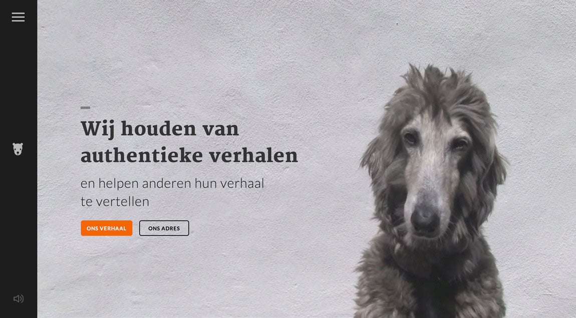 Dr.Woe Website Screenshot