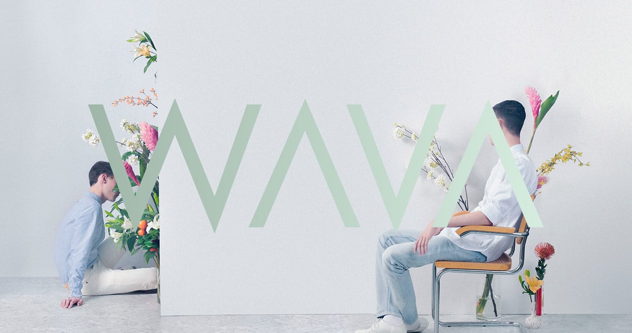 We Are Visual Animals Website Screenshot