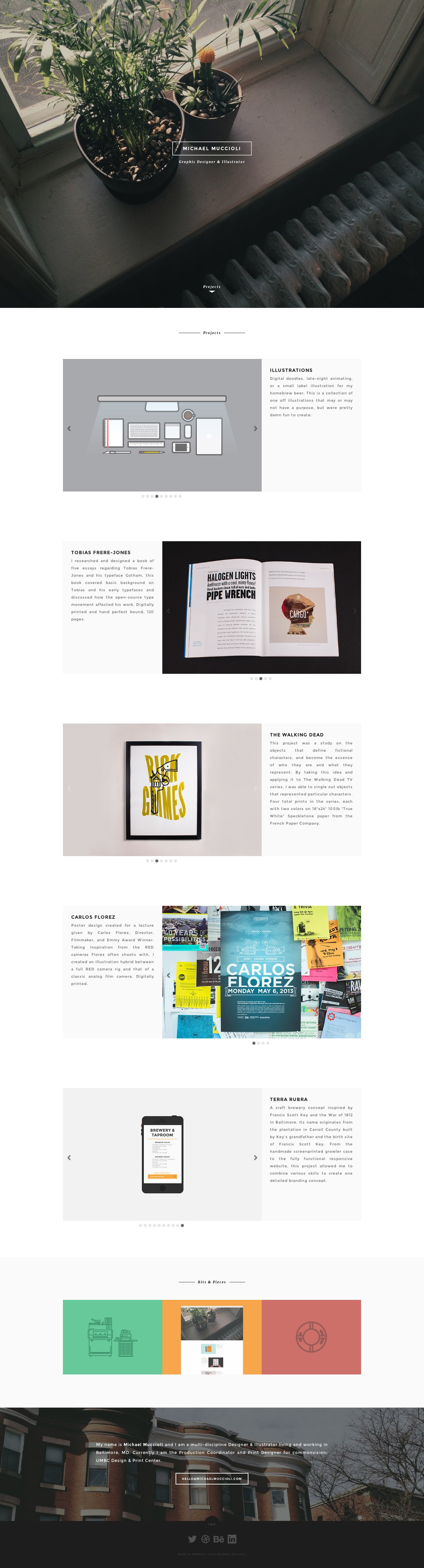 Michael Muccioli Website Screenshot