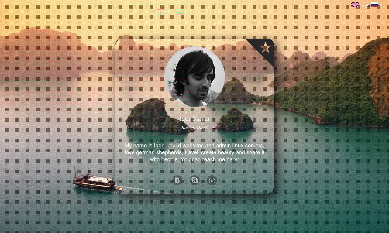 Igor Slavin Website Screenshot