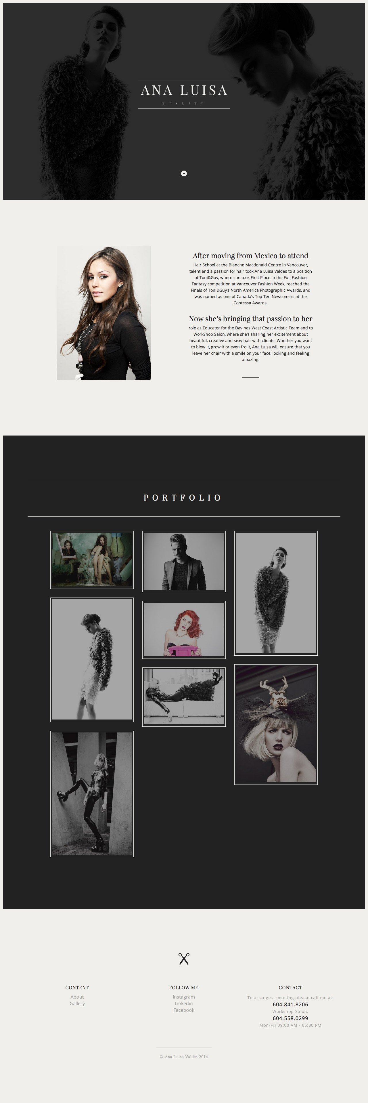 Ana Luisa Website Screenshot
