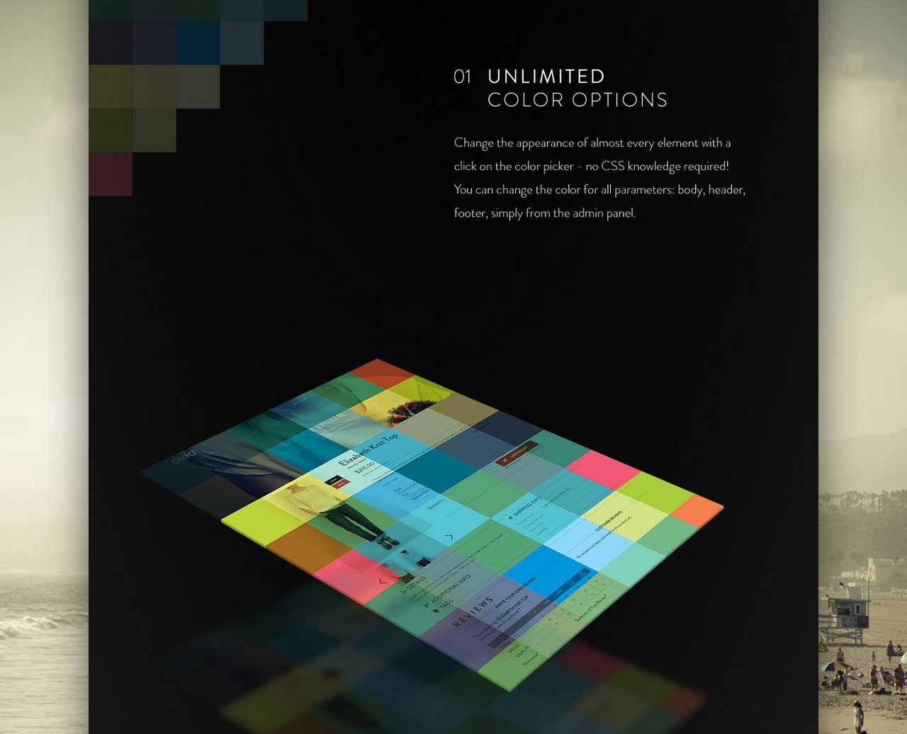 Cleo Website Screenshot