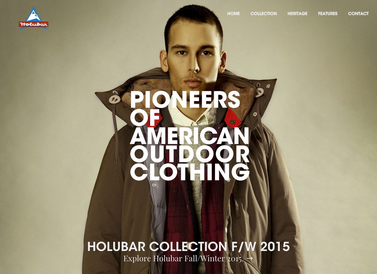 Holubar Website Screenshot