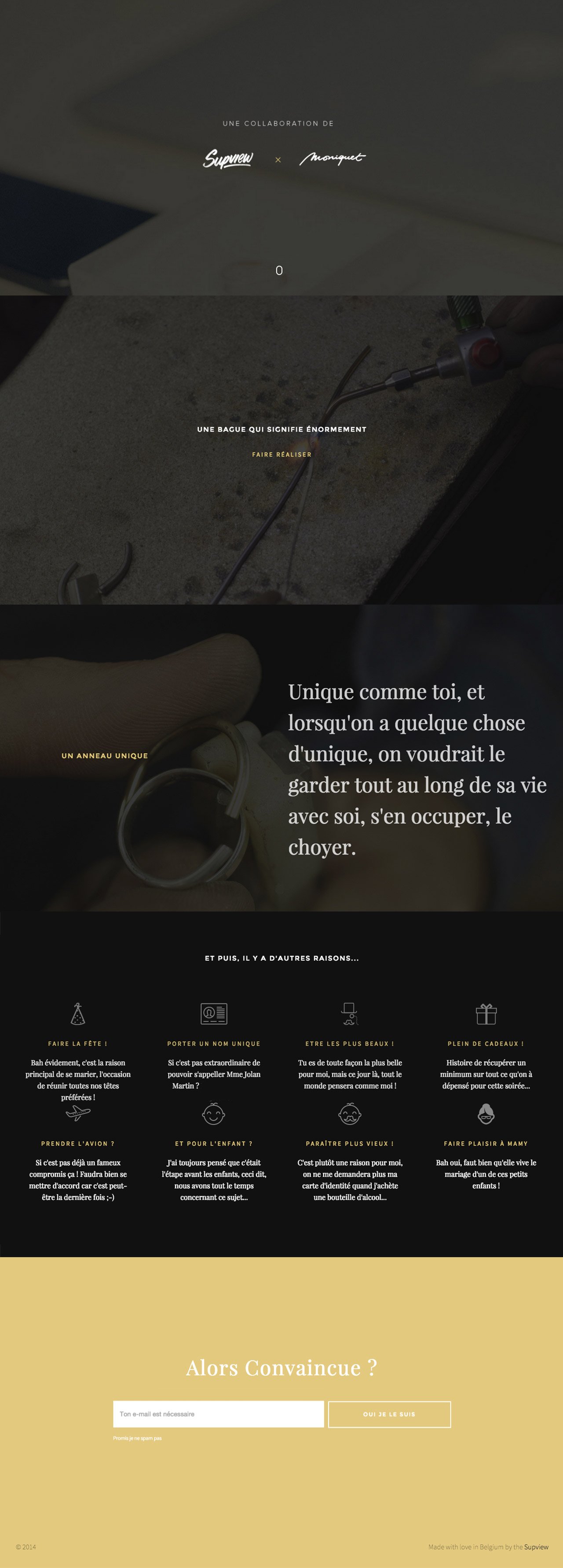 Online Proposal of François Martin Website Screenshot