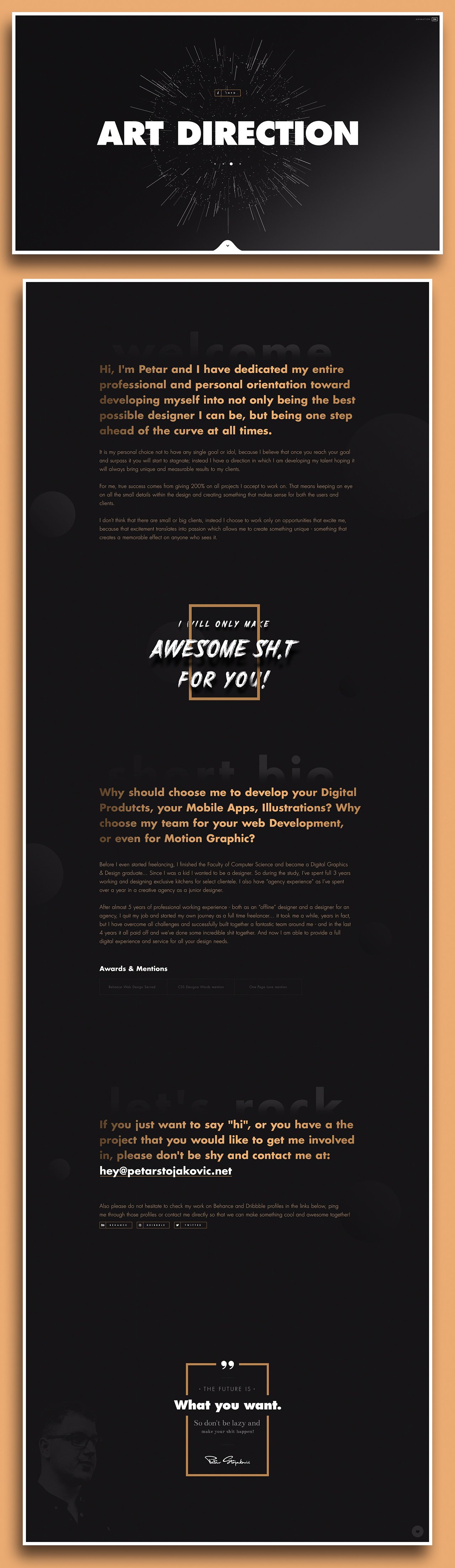 Petar Stojakovicβ’ Website Screenshot