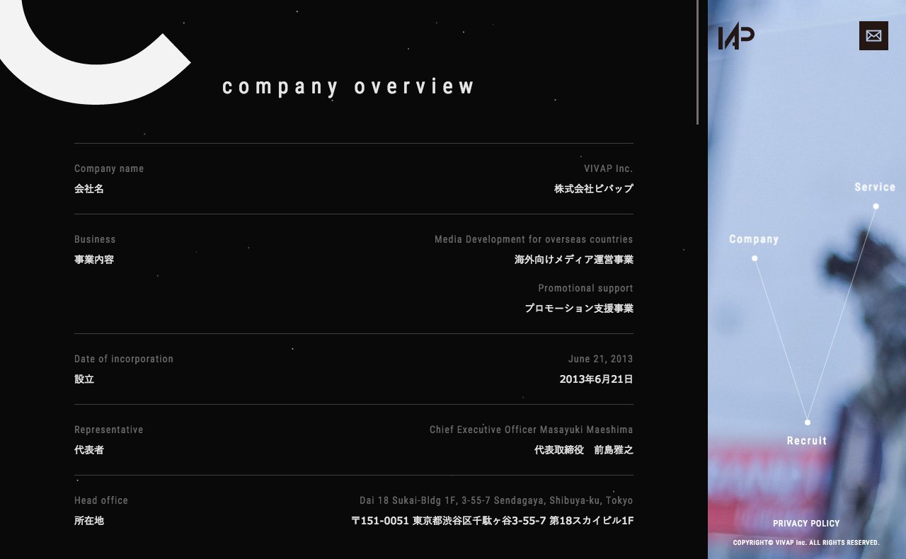 VIVAP Inc. Website Screenshot