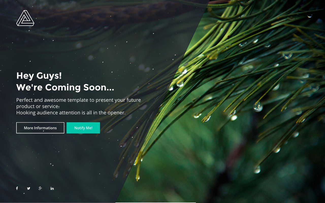 PHLY Website Screenshot