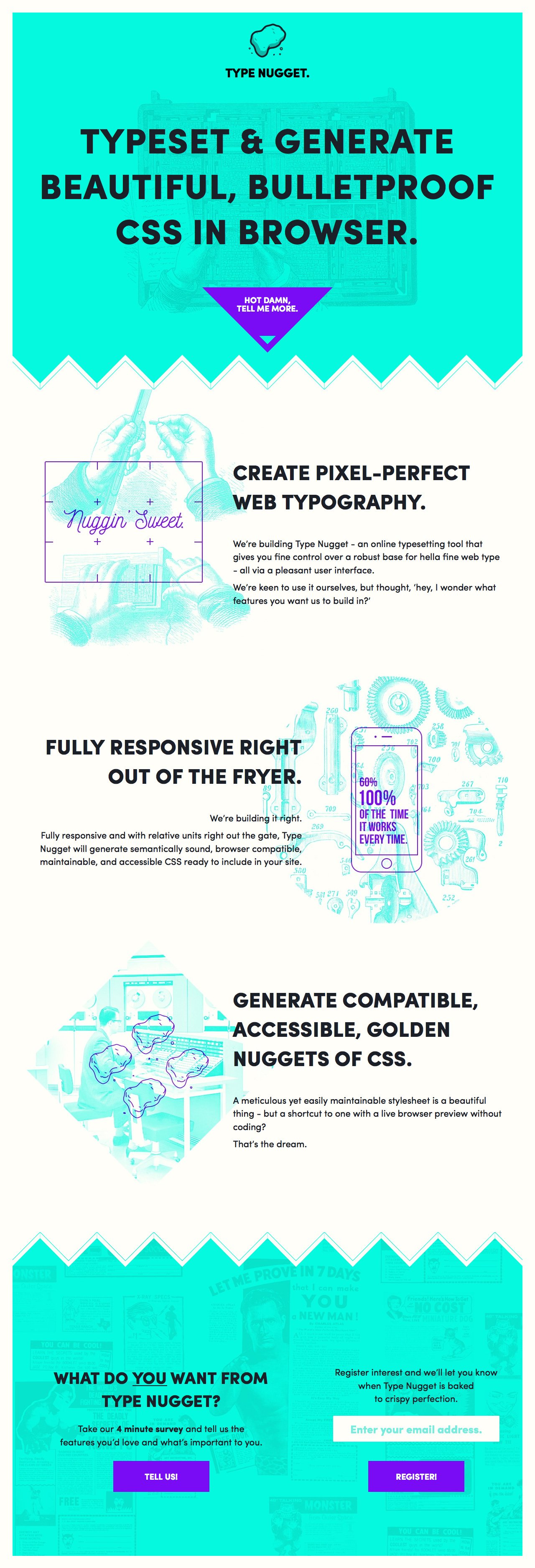 Type Nugget Website Screenshot