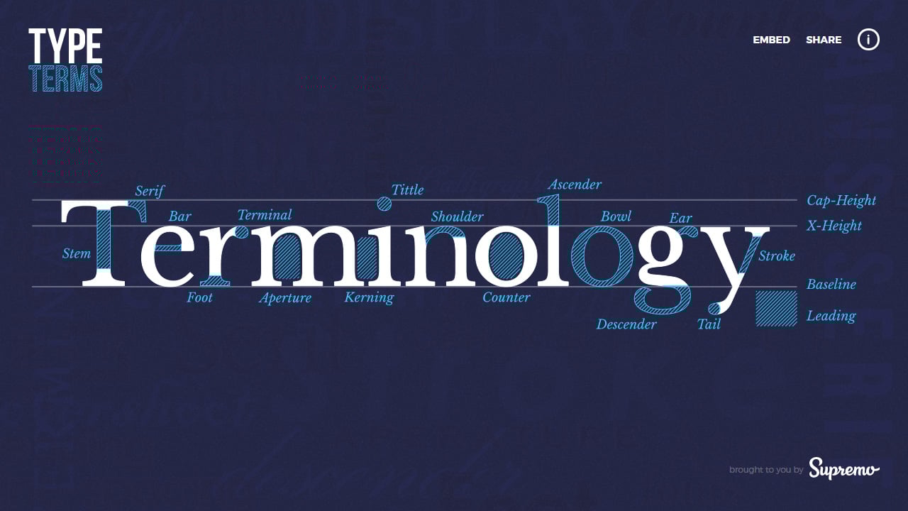 Type Terms Website Screenshot