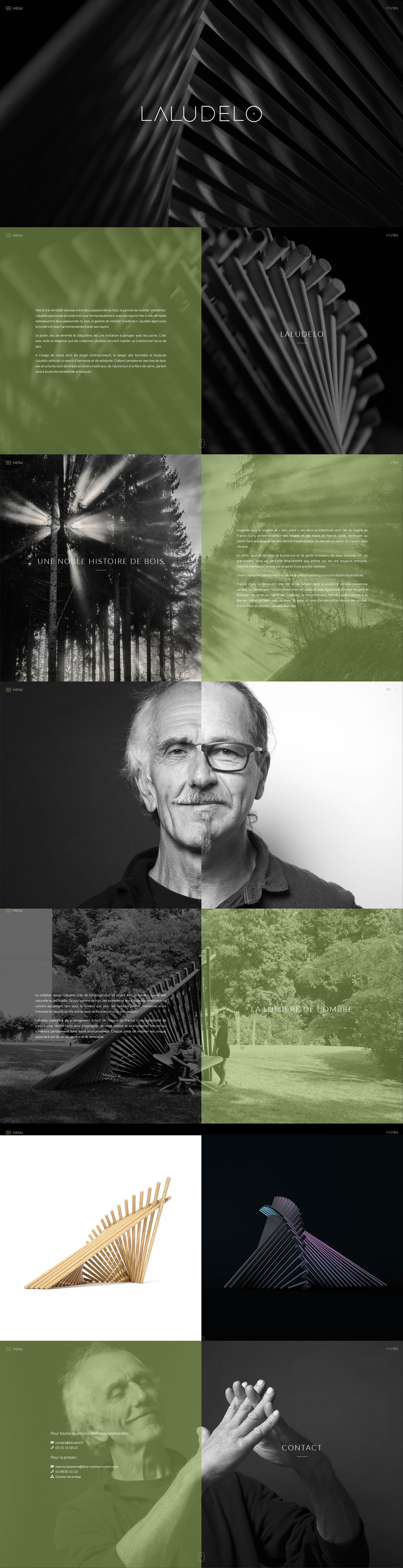 Laludelo Website Screenshot