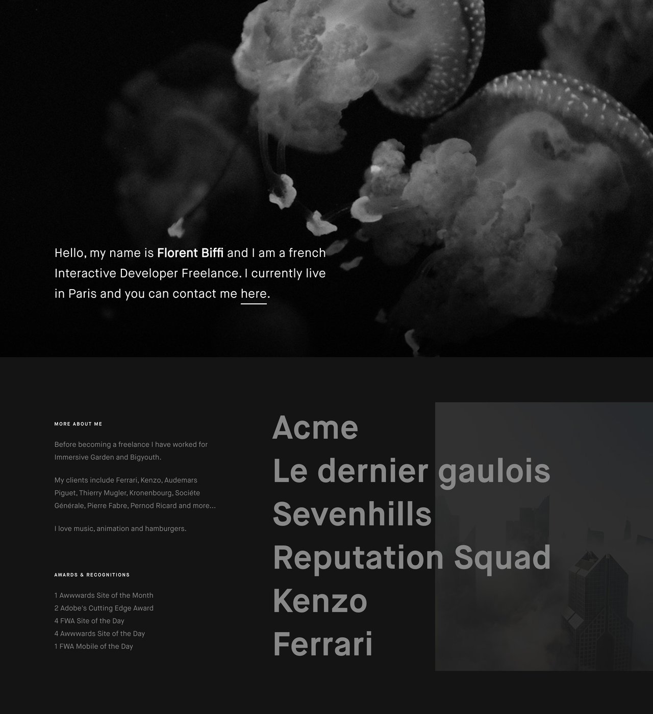 Florent Biffi Website Screenshot