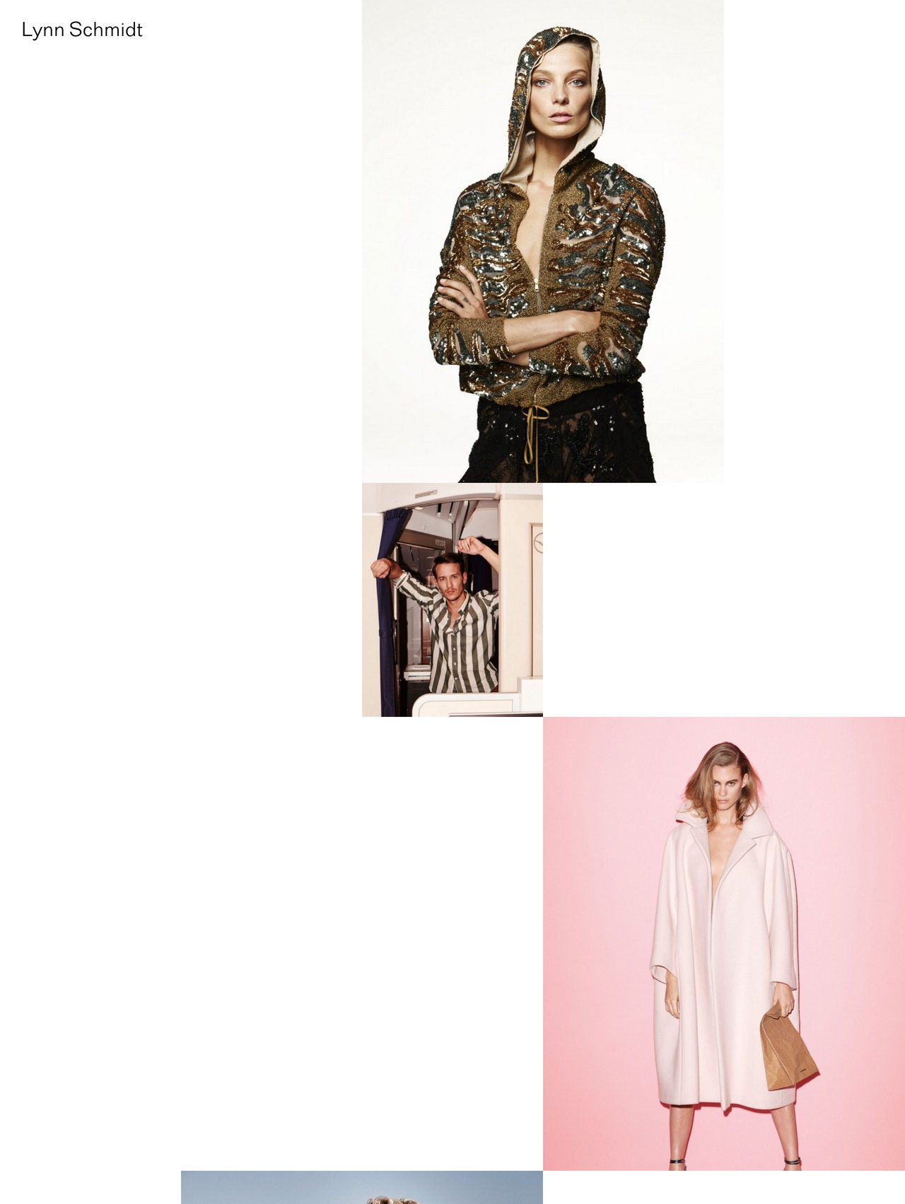 Lynn Schmidt Website Screenshot