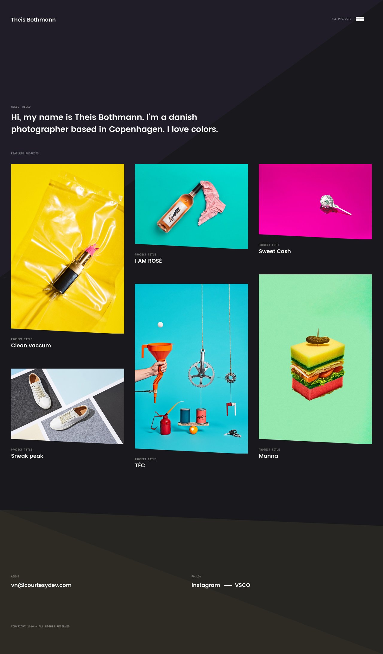 Theis Bothmann Website Screenshot