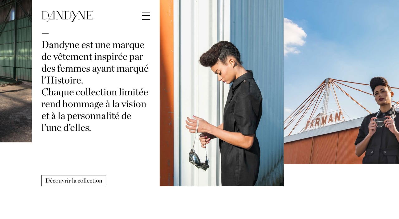 Dandyne Website Screenshot