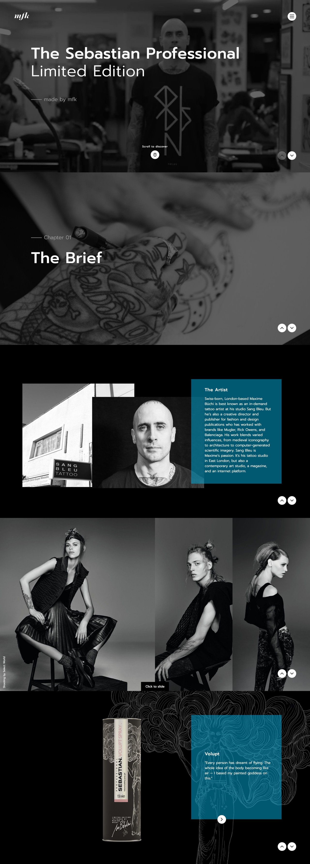 Sebastian Professional Limited Edition Website Screenshot