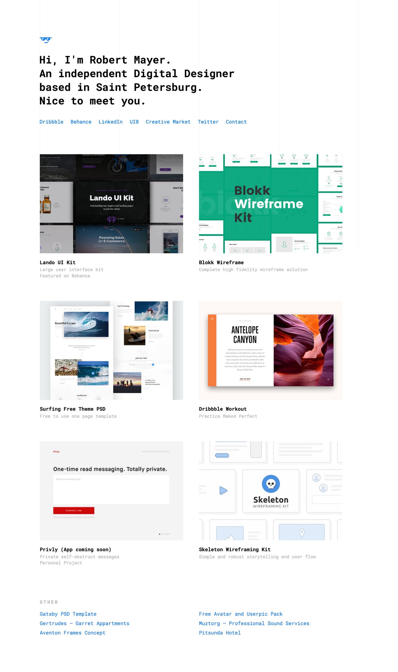 Robert Mayer Website Screenshot