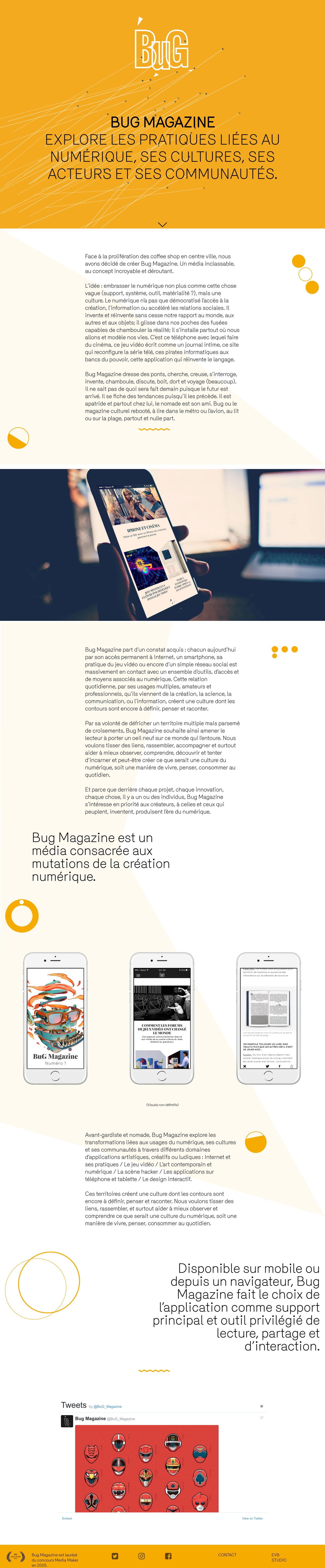 Bug Magazine Website Screenshot