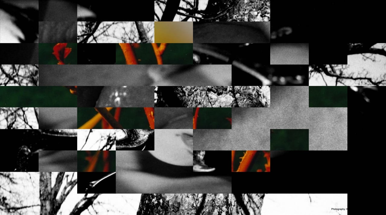 Kevin Beck Website Screenshot