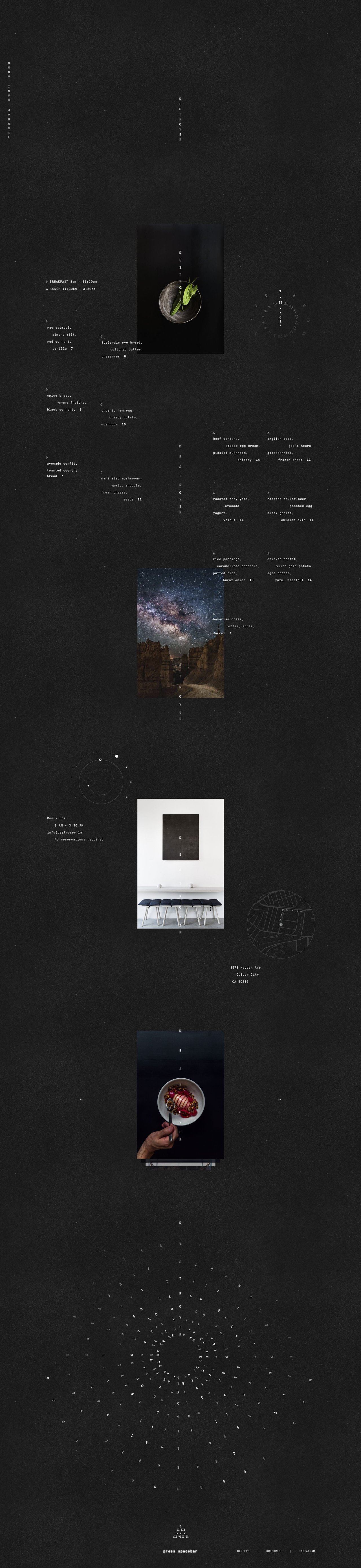 Destroyer LA Website Screenshot