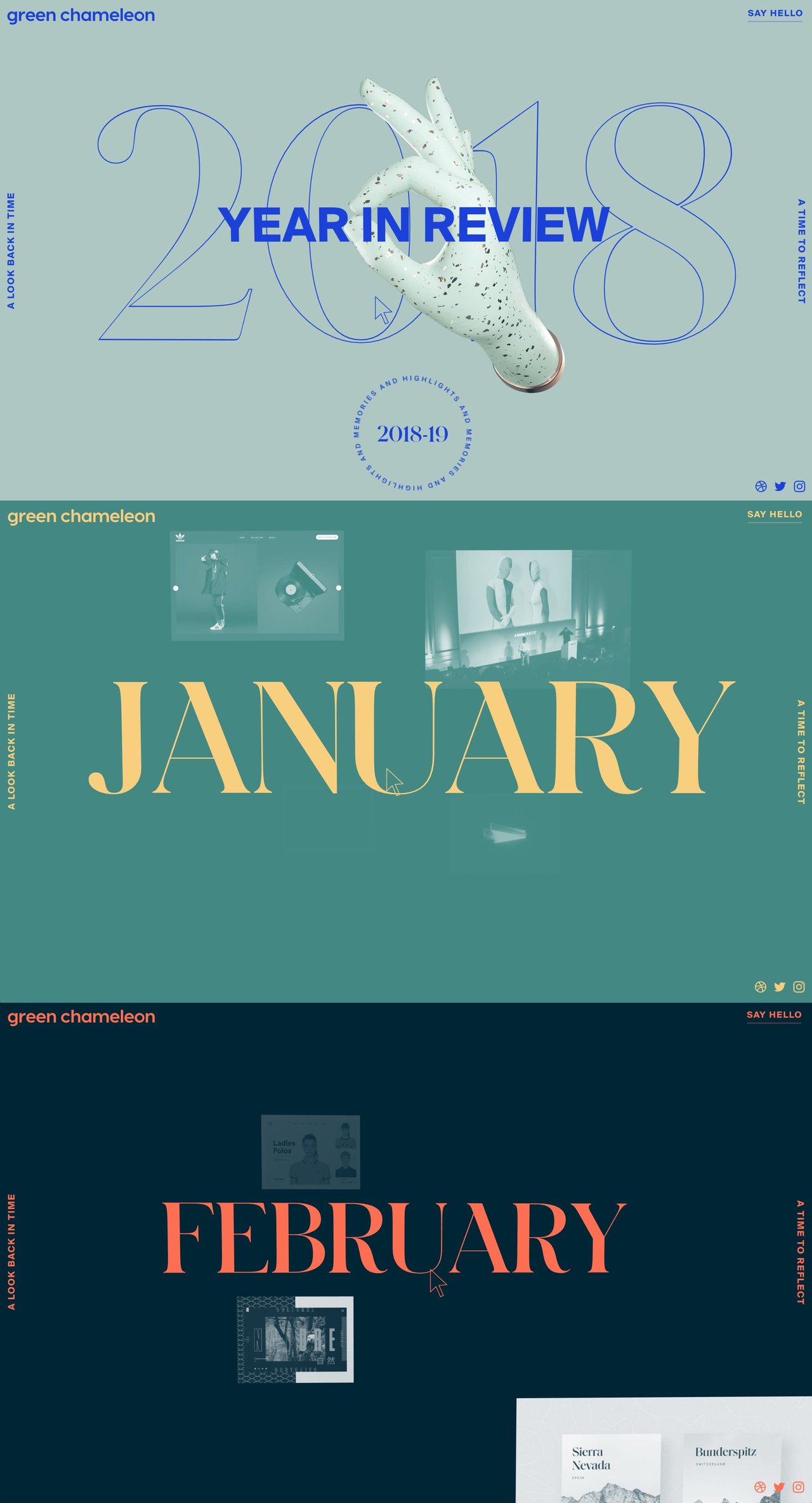 Green Chameleon 2018 Year in Review Website Screenshot