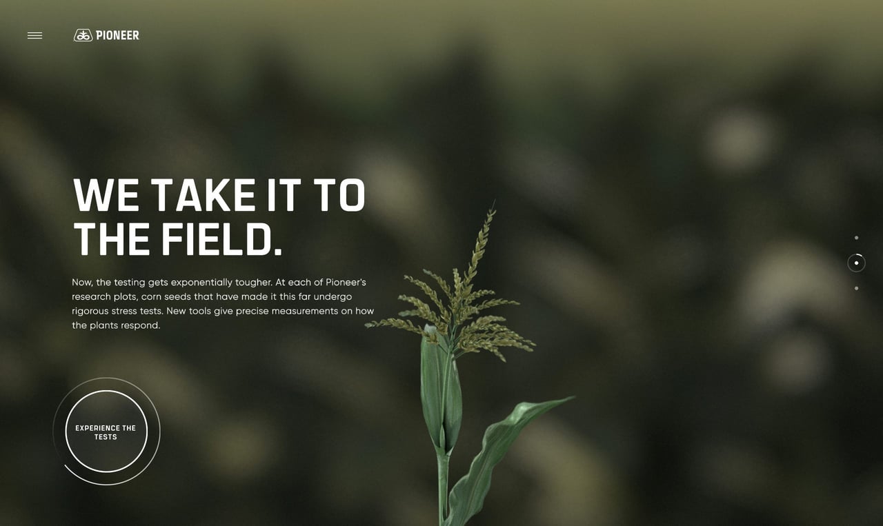 Pioneer Website Screenshot