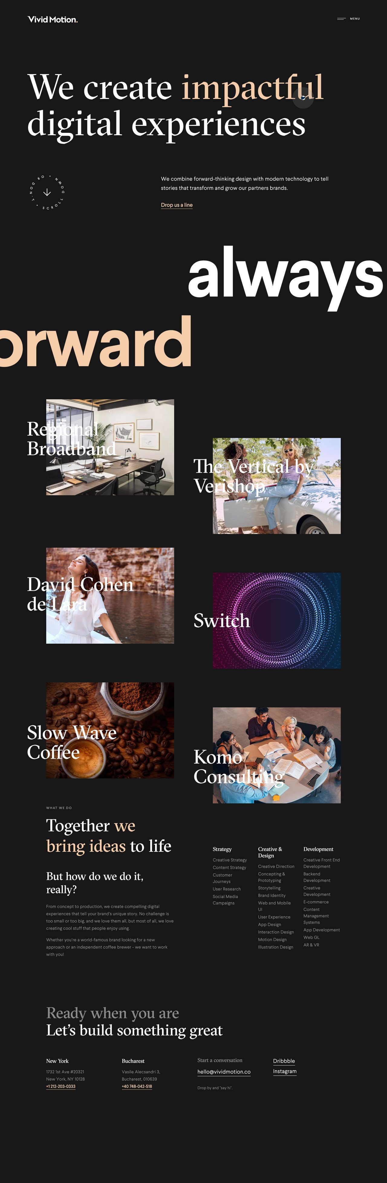 Vivid Motion Website Screenshot